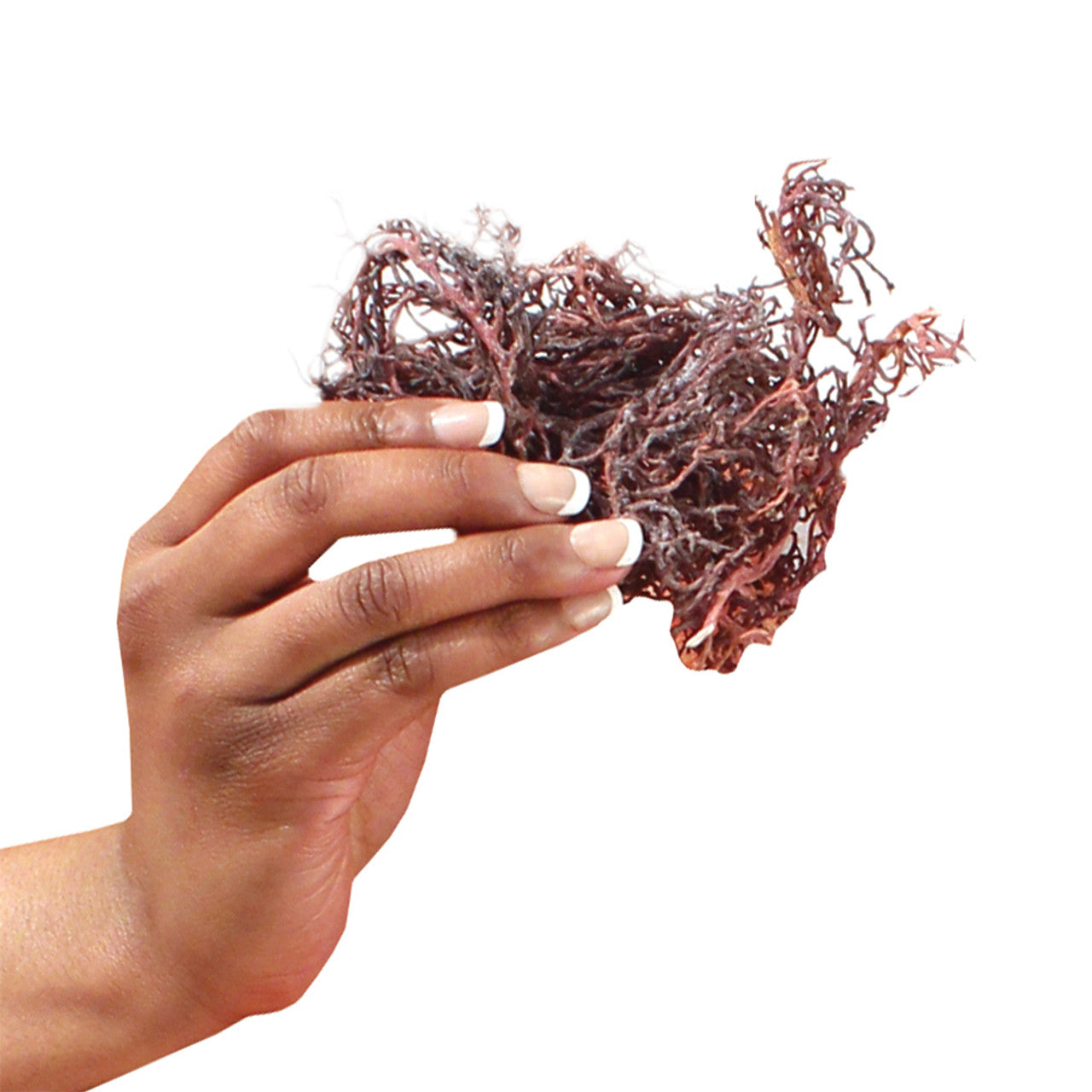 Purple Irish Sea Moss - 4 oz.