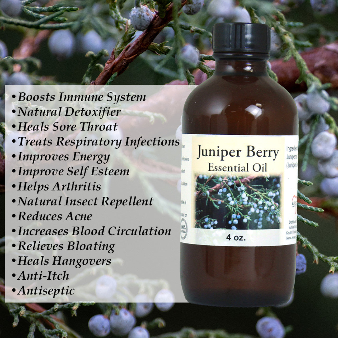 Juniper Berry Essential - 4 oz.