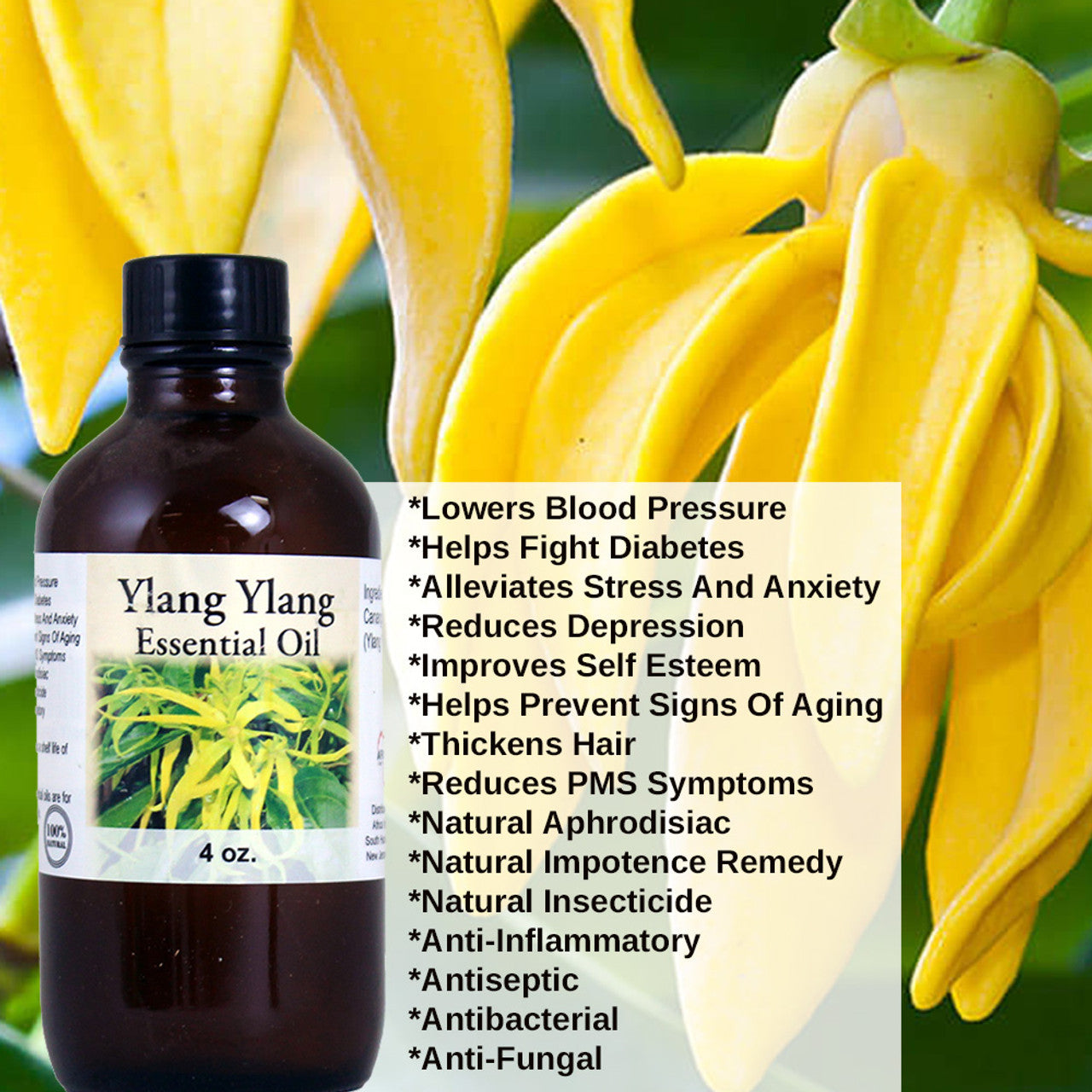 Ylang Ylang Essential Oil - 4 oz