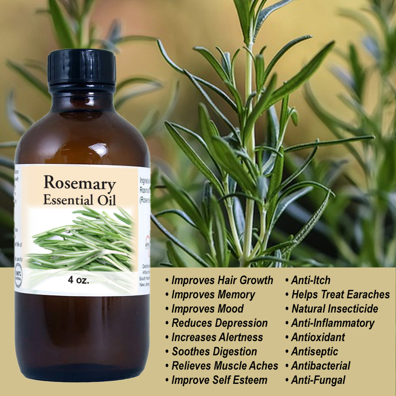 Rosemary Essential Oil: 4 oz.